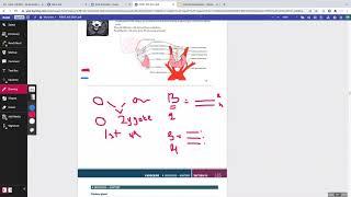 USMLE STEP 1 ENDOCRINOLOGY LECTURE 1