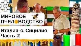 МИРОВОЕ ПЧЕЛОВОДСТВО- О.Сицилия,  ЧАСТЬ 2+местная ВИНОДЕЛЬНЯ