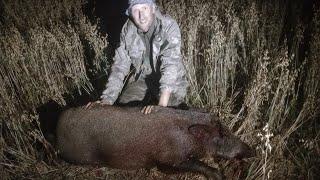 WILD BOAR AND ROE DEER HUNTING. Got two trophies