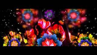 FREE VJ LOOPS / MOTION GRAPHICS / ANIMATION / VISUAL LOOPS / AFTER EFFECTS - FLOWERS - FULL COLOR