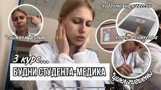 Влог: будни студента-медика // цикл гигиены // считаем индексы, снимаем фильм, делаем презентации