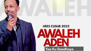 Awale Aden |Ya Ku Gaadhaya| 2023