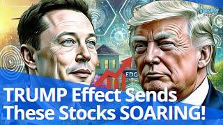 TRUMP Effect Sends These Stocks SOARING!