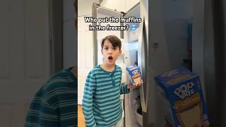 Who put the muffins in the freezer? 