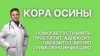 Эффекты экстракта коры осины: паразиты, грибки, патогенные бактерии, туберкулез, простатит, артриты