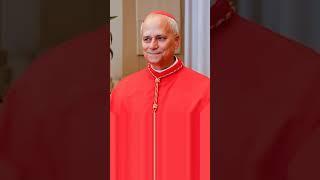 FIRST AMERICAN POPE! Who Is Leo XIV? What Happens Now?