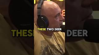 Joe Rogan Reacts to Hunter Freeing Two Locked Deer 