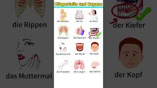 Body Parts and Organs | Learn German | A1-B1 | German for Beginners