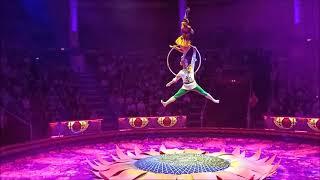 Visiting the Moscow Circus - PART 3 of 4 - Aug 23, 2024