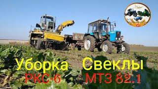 Уборка сахарной свеклы и камбаины РКС-6 и ВМ-6В и МТЗ 82.1БУКСУЕТ