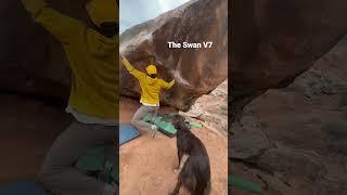 The Swan V7 - Moe’s Valley Bouldering