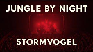 Jungle by Night - Stormvogel