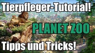 Tutorial für Tierpfleger in Planet Zoo! Tipps und Tricks für Füttern und Reinigen von Gehegen!