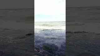 #dagestan #dagestanlive #live #sea #muslim #tajikstan #uzbekistan