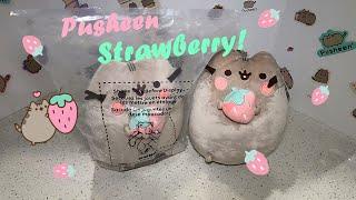  Pusheen Strawberry Plush!