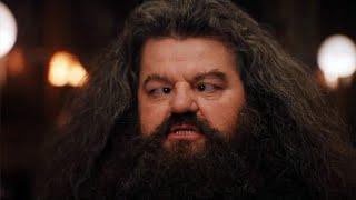 MAD HAGRID 2