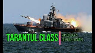 Tarantul Class - The Russian Navy [06/12/2022]