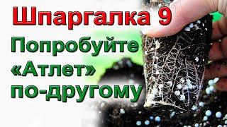 Мой способ применения "Атлета" для мощных корней рассады.  ШПАРГАЛКА №9