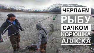 Рыбалка на Корюшку в Аляске Рецепт Приготовления Рыбы Жизнь в Штате Аляска