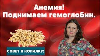 Как быстро повысить уровень гемоглобина в крови ПИТЬ  УТРОМ И ВЕЧЕРОМ - ГЕМОГЛОБИН В НОРМЕ