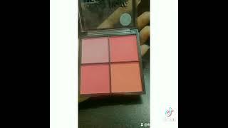 Technic matte mega blush swatch#shorts #makeupreview#bangla