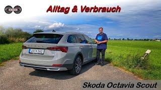 Skoda Octavia Scout 2.0 TDI 4x4 *200PS* im Alltag | Test - Review - Verbrauch