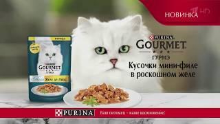 Purina Gourmet - Реклама