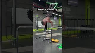 Reverse muscle up