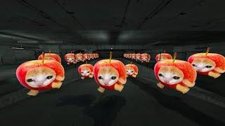 Apple Cat, Banana Cat Nextbot Gmod