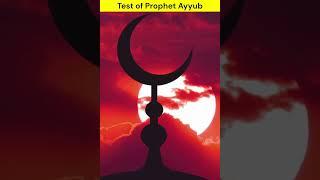 Allah took away everything from the Prophet. #islamicshorts #islamicstory #allah #prophetmuhammad