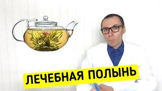 Полынь: лечебные свойства и секреты правильного применения