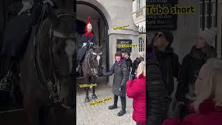 “My Horse, My Rules: King's Guard Allows Her to Touch the Horse!" Short