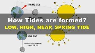 How Tides are Formed - Low, High, Neap, Spring Tide | Geography UPSC IAS