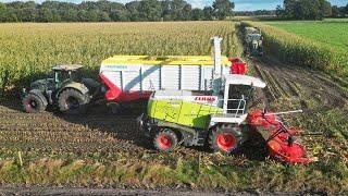 Mais Silage 2024 | Claas Jaguar 900 | Pleizier & Timmer