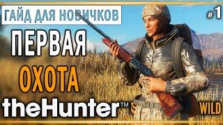 theHunter Call of the Wild #1  - Первая Охота - ГАЙД для Начинающих