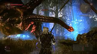 The Witcher 2 Kayran Boss Fight