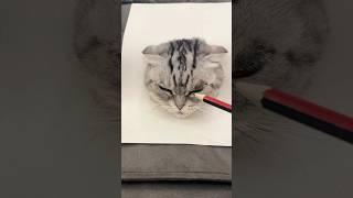 draw a cat#draw #painting #cat #funny #cute #cuteanimals #kitten #petlife #fun