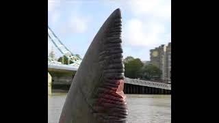 Meg 2: The Trench (2023) - Meg spotted on the River Thames, London