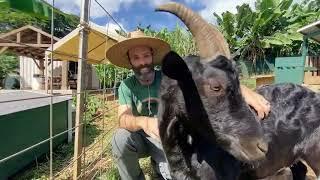 Aloha Animal Sanctuary