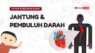 JANTUNG DAN PEMBULUH DARAH | SISTEM PEREDARAN DARAH