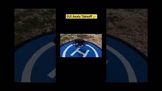 DJI Avata First Flight