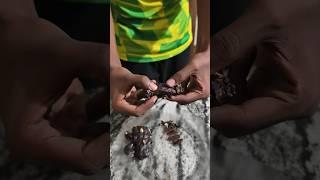 CHOCKLATE ROLE | ചോക്ലേറ്റ് ട്രോൾ #food #foodlover#chocolate#challenge #youtube #yt #shots #short