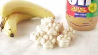 Yogurt Peanut Butter Banana Dog Treats Recipe