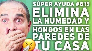 SÚPER AYUDA #615 Elimina La Humedad Y Hongos En Las Paredes De Tu Casa