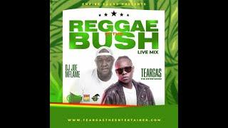 Dj Joe Mfalme - Reggae In The Bush Live Mixx   Dj Joe Mfalme & MC Teargas.