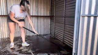 Turning an Old Shed into Hot Dog Cart Storage! Watch the Transformation!
