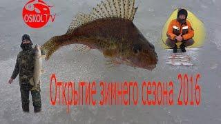 Открытие зимнего сезона по ловле белой и хищной рыбы со льда/pike in the winter /szczupak w zimie