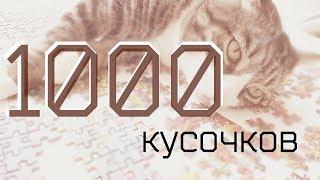 МАЛЕНЬКОЕ ВИДЕО О 1000 КУСОЧКОВ | LGDI