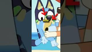 Animation ERRORS in Bluey YOU CANNOT UNSEE 🫣