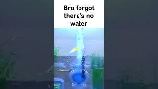 Bro is on 1000 ping